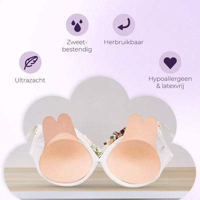 Plak BH (Push up BH)